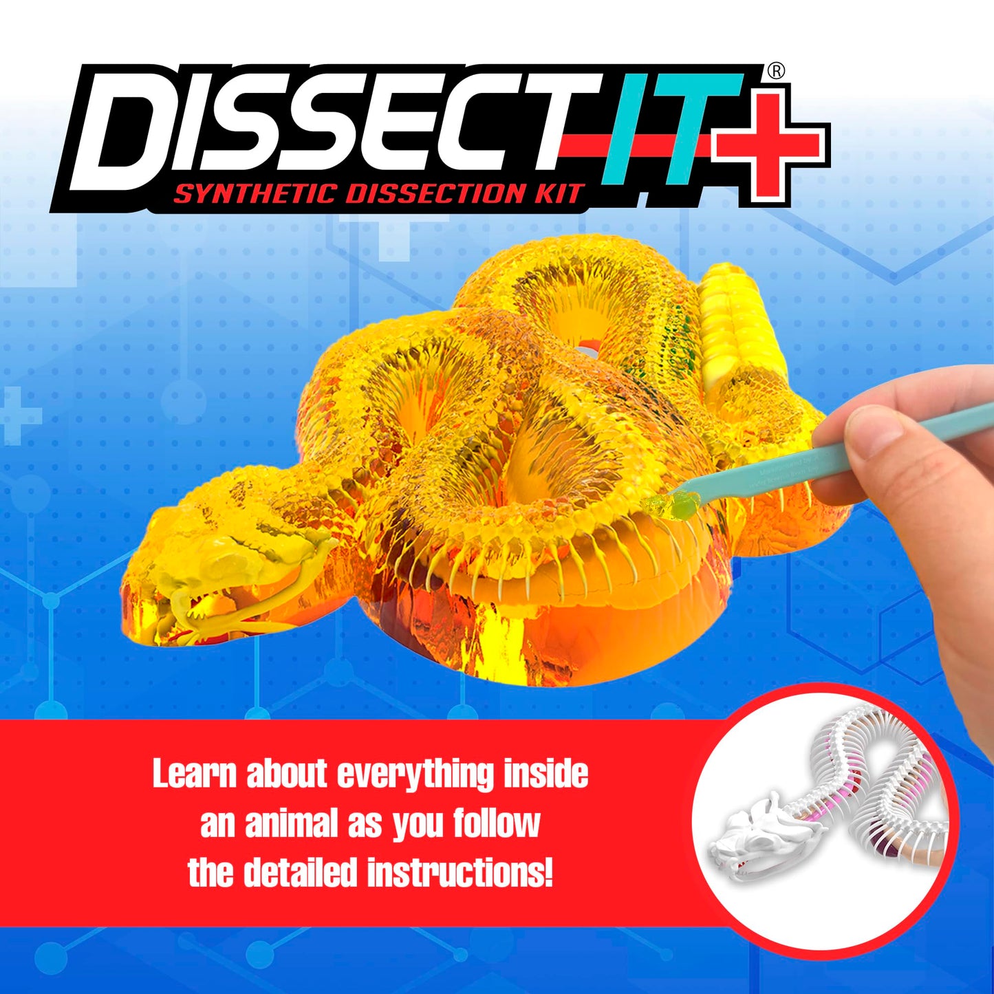 Dissect It Rattlesnake Super Lab toy unpacked showing plastic work table and surgical tools