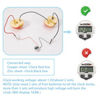 Sntieecr STEM educational set digital clock powered by a lemon battery setup