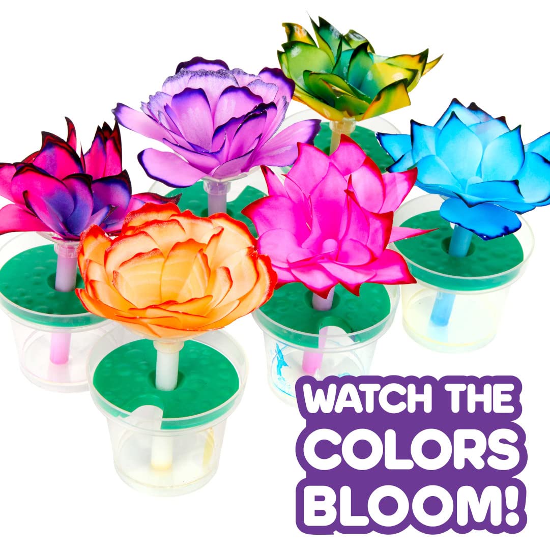 Assembled paper flowers showing capillary action drawing ink up the petals