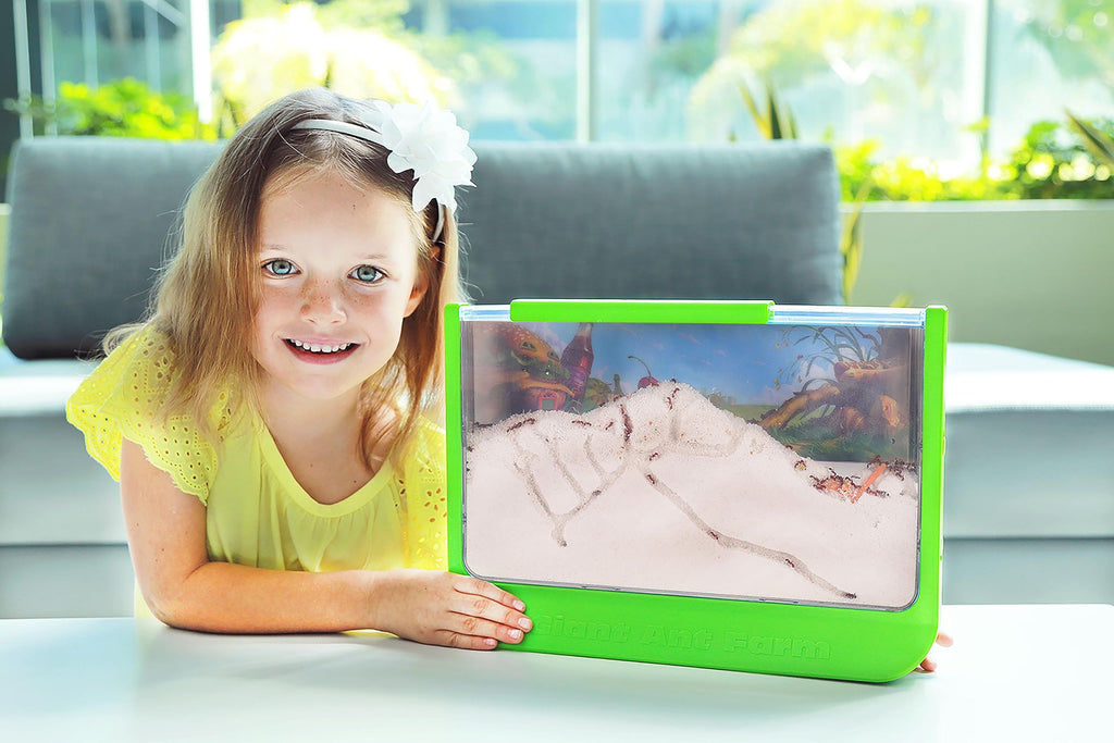 Side angle of the large viewing window showcasing complex networks of underground sand tunnels