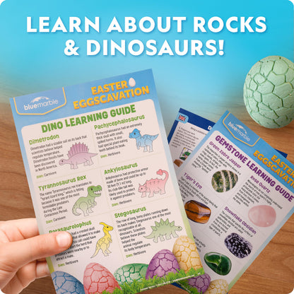 Six authentic real gemstones polished and ready for a child's geological rock collection.