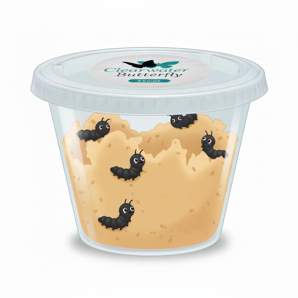Clearwater Butterfly Company educational science kit showing the complete life cycle transformation guide.