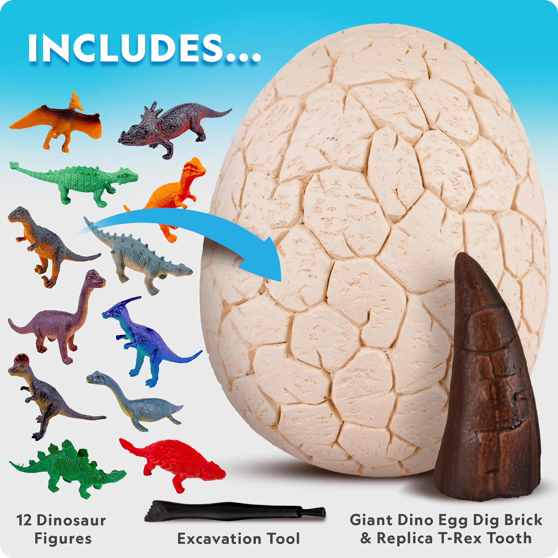 Full color educational dinosaur learning guide and STEM identification cards for kids