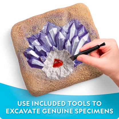 Fifteen authentic gemstones arranged beautifully alongside a full-color geology study guide.