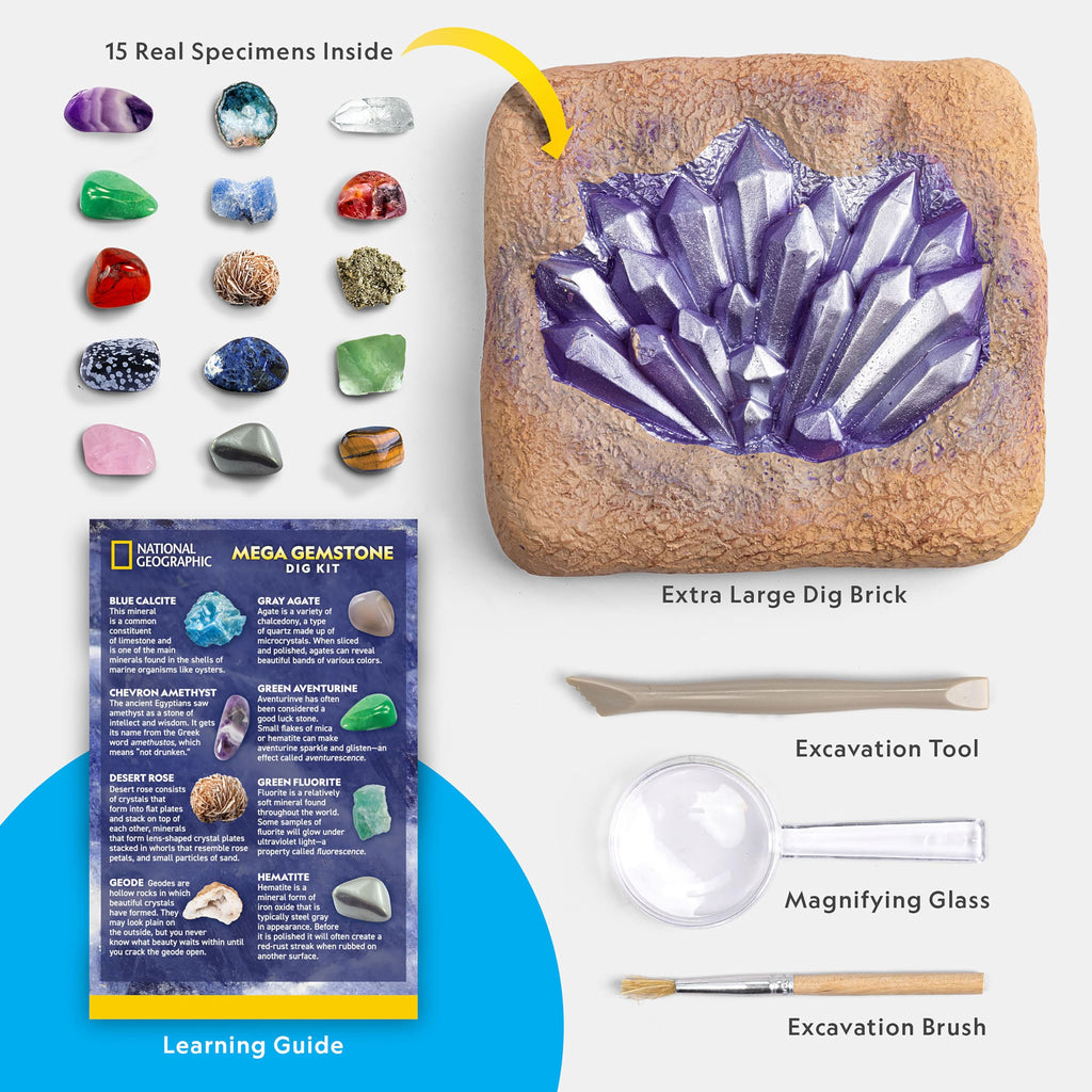 The complete box contents including the large plaster block, tools, and educational booklet.