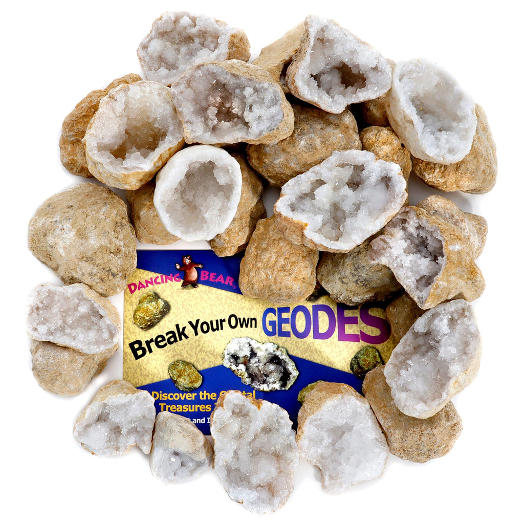 Complete contents of the Dancing Bear STEM geology kit including twenty-five premium hollow rocks.