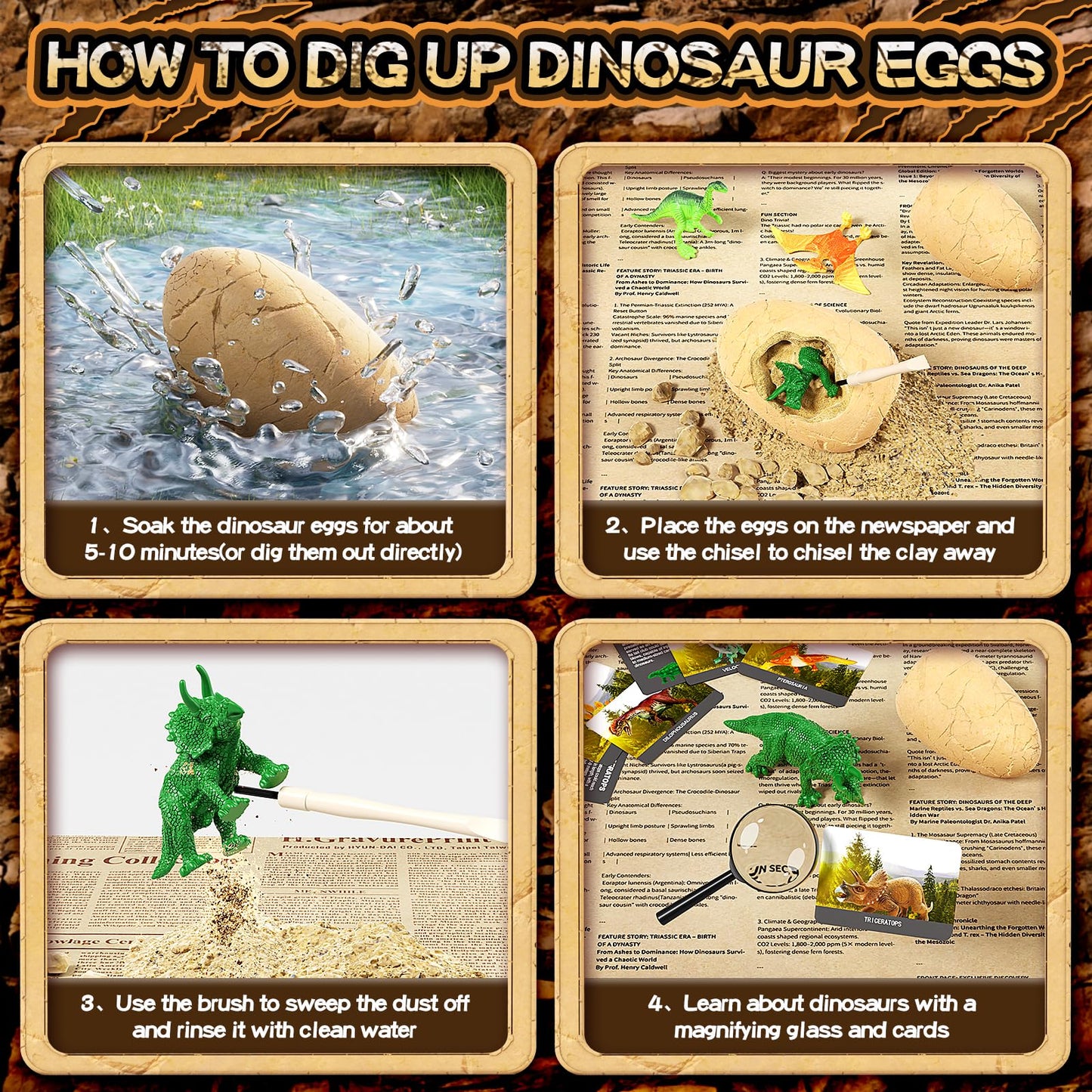 Full set layout displaying 24 dinosaur eggs alongside excavation tools and colored learning cards