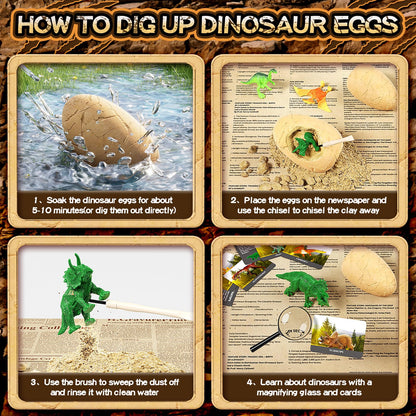 Full set layout displaying 24 dinosaur eggs alongside excavation tools and colored learning cards