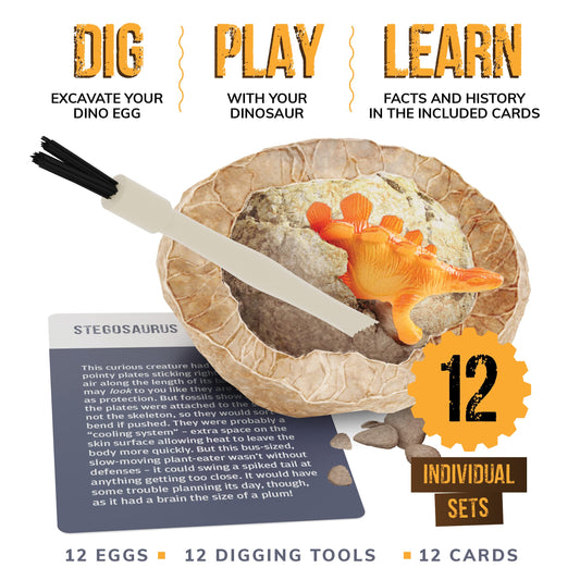 Twelve individual clay dinosaur eggs laid out with included chisel and brush tools