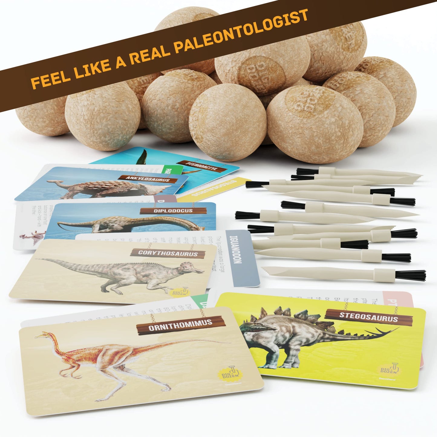 Full color illustrated dinosaur learning guides detailing prehistoric characteristics