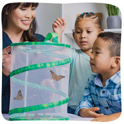 Insect Lore STEM activity journal for kids featuring science and math lessons