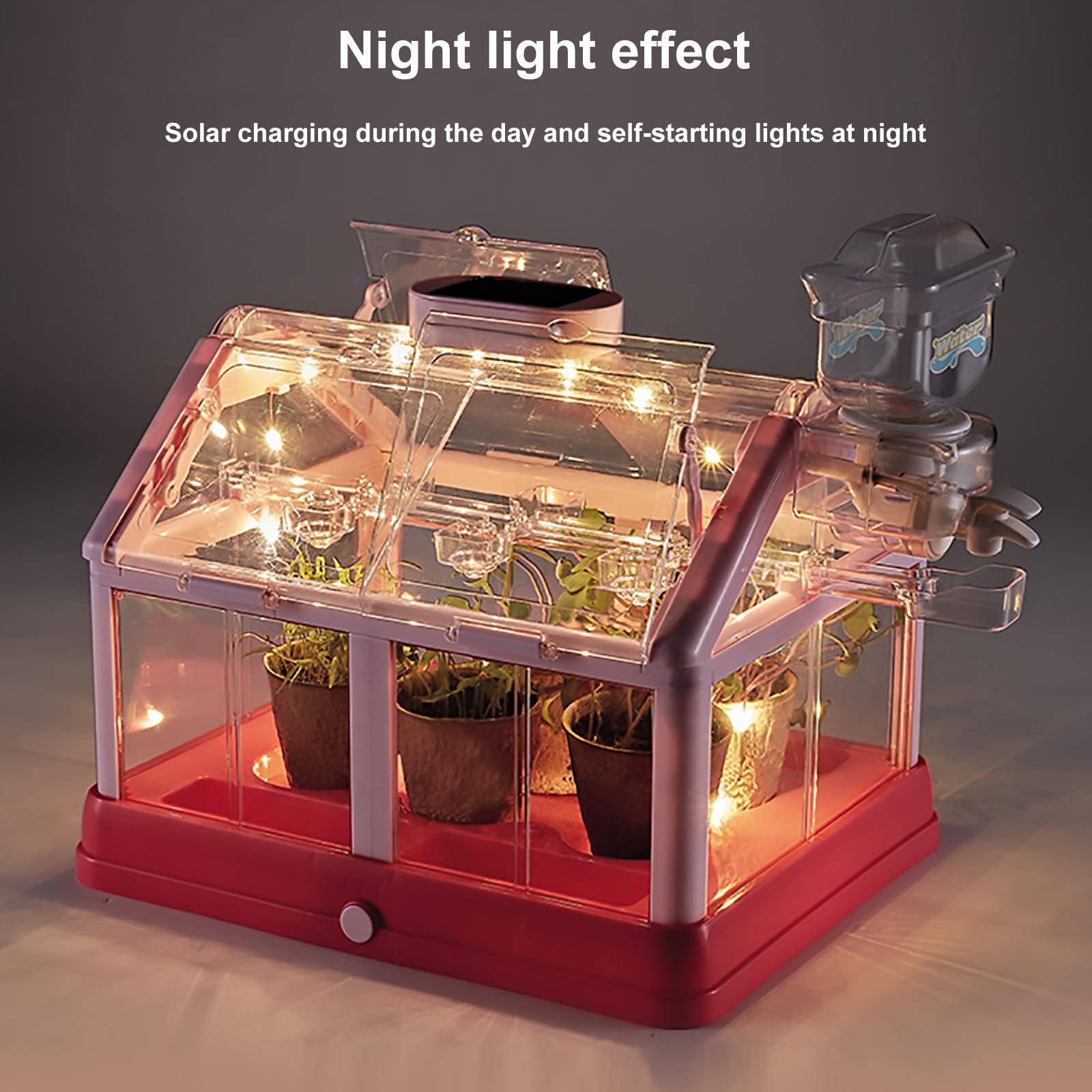 EXBEPE educational DIY terrarium kit showing illuminated solar LED grow lights
