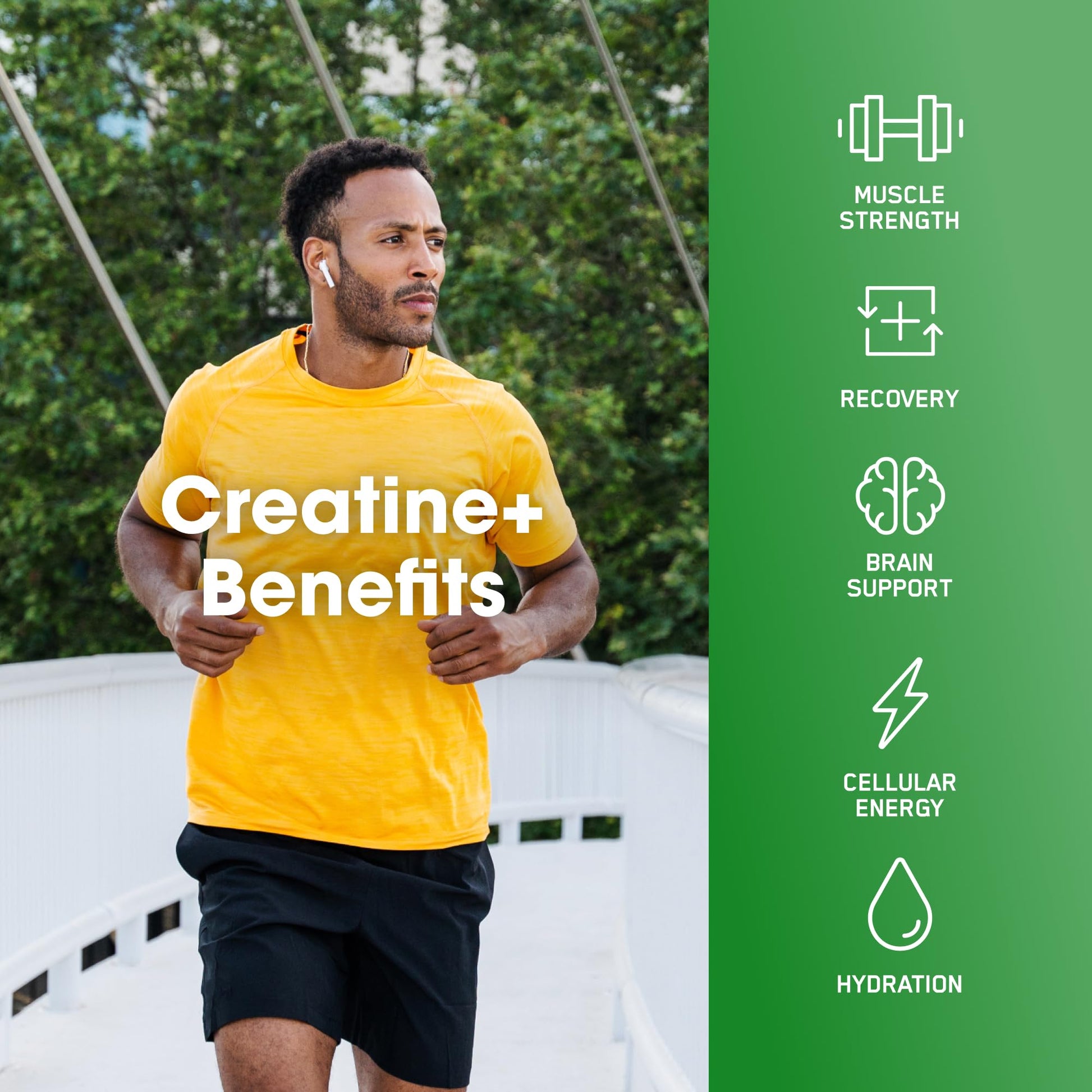 Optimum Nutrition Creatine Plus benefits infographic