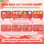 Nextdia gut health gummies key active ingredients highlight graphic