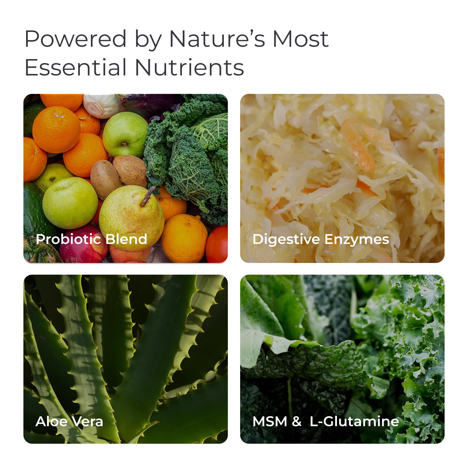 Authentic Livingood Daily supplement bottle for gut health