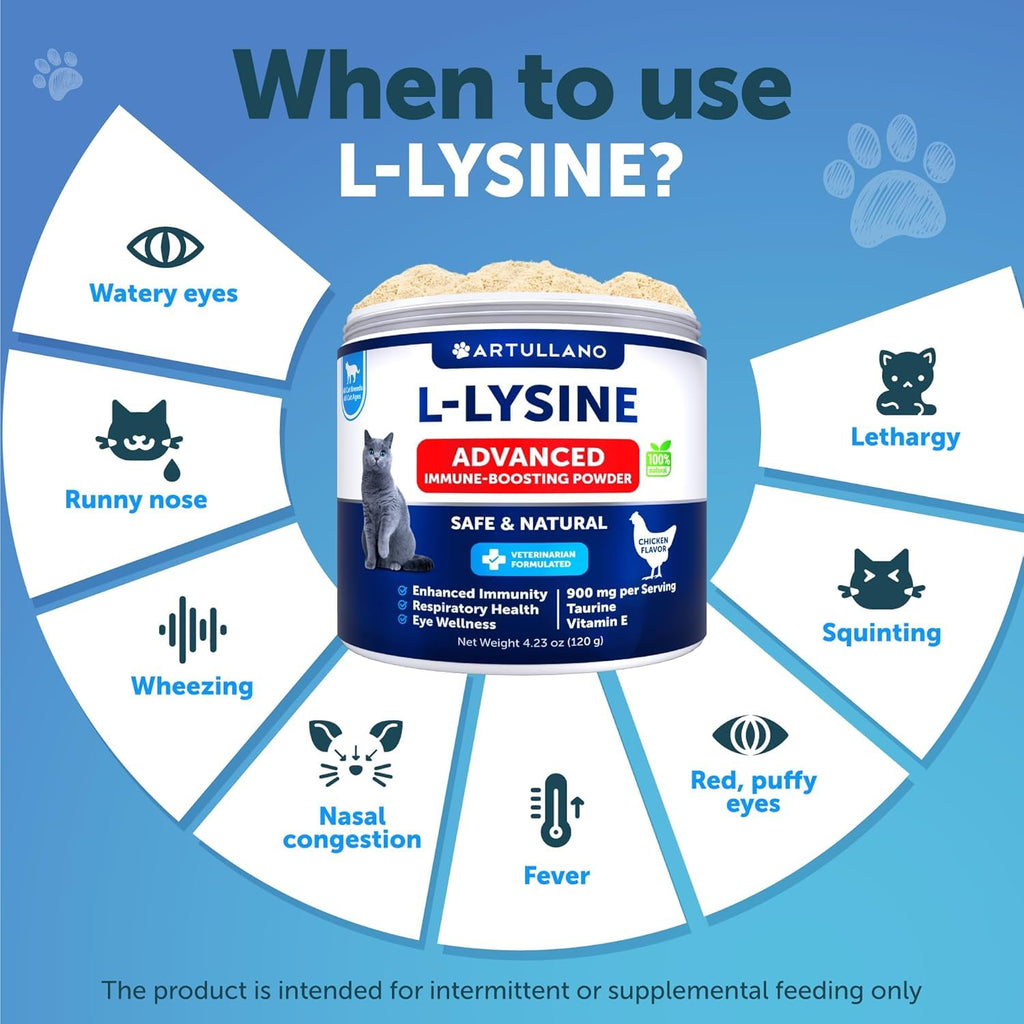 Scoop portion of Artullano L-Lysine feline respiratory support supplement powder texture