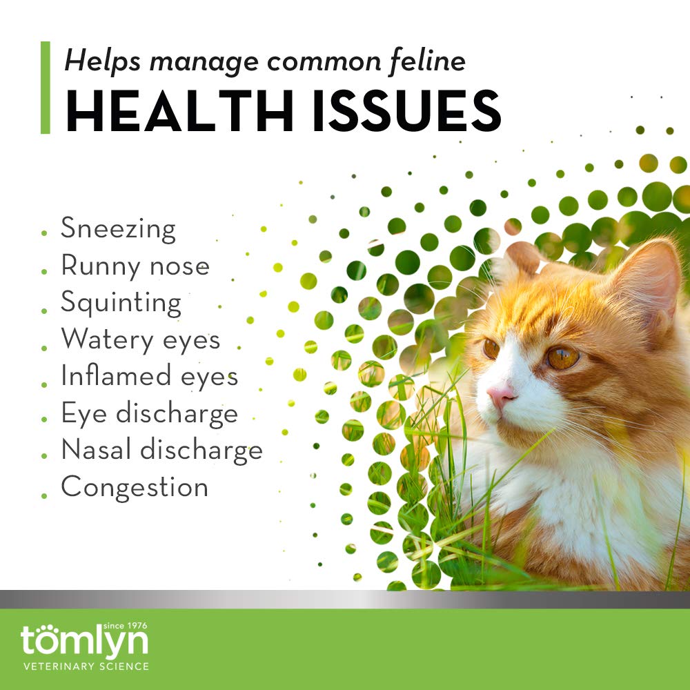 Scoop of Tomlyn L-Lysine fish-flavored powder for cats