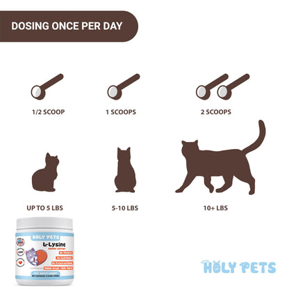 Artullano L-Lysine supplement label details for feline health