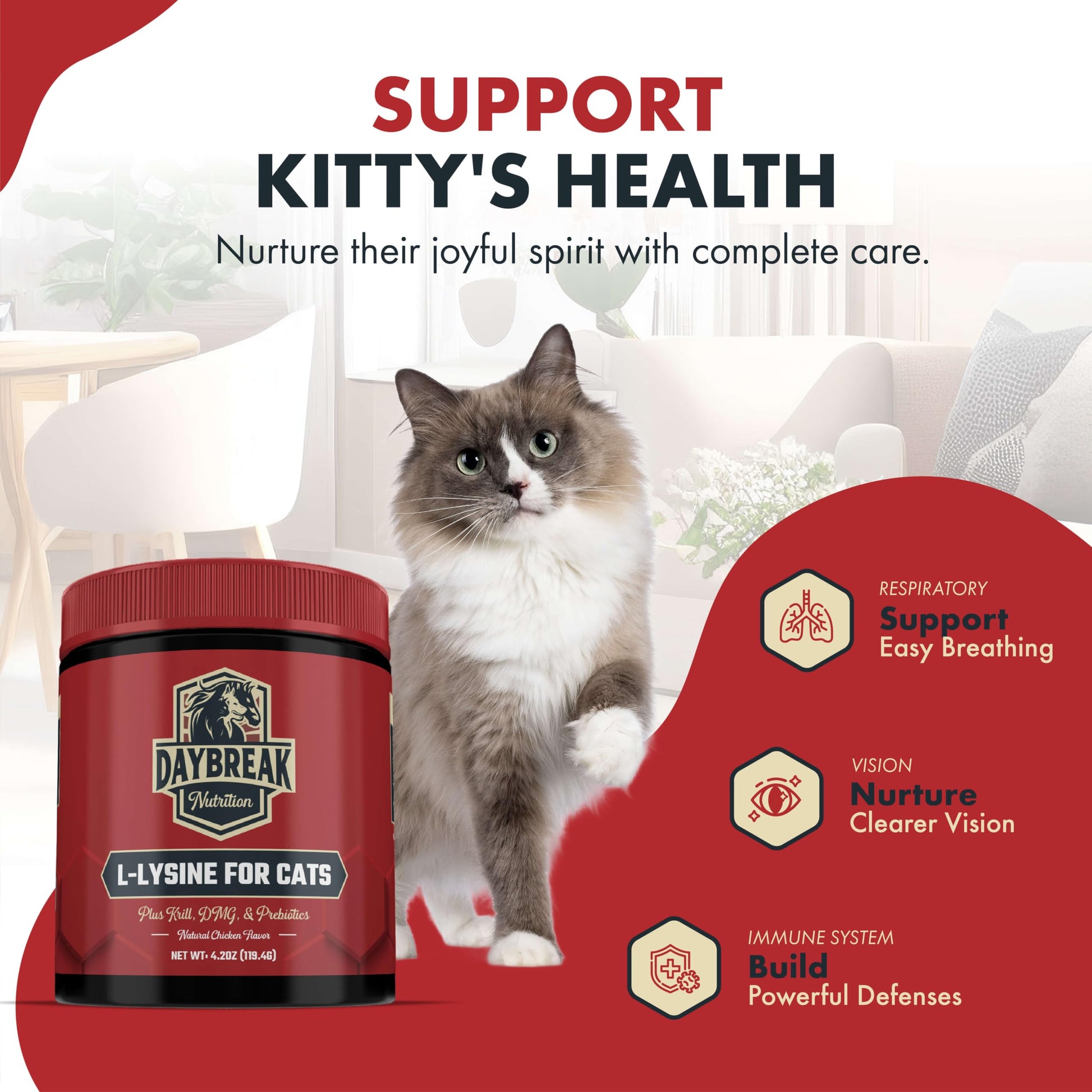 Scooping Daybreak Nutrition L-Lysine powder for cats