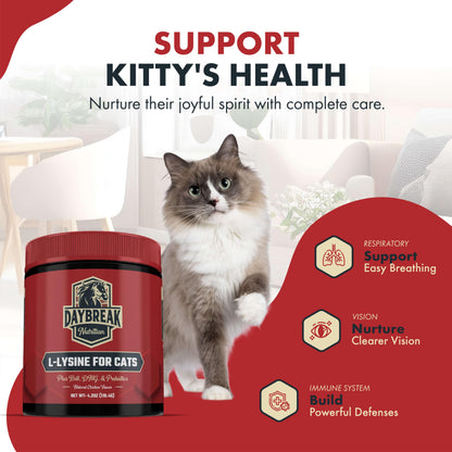 Scooping Daybreak Nutrition L-Lysine powder for cats