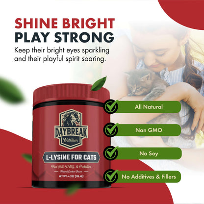 Close up of Daybreak Nutrition feline respiratory support powder