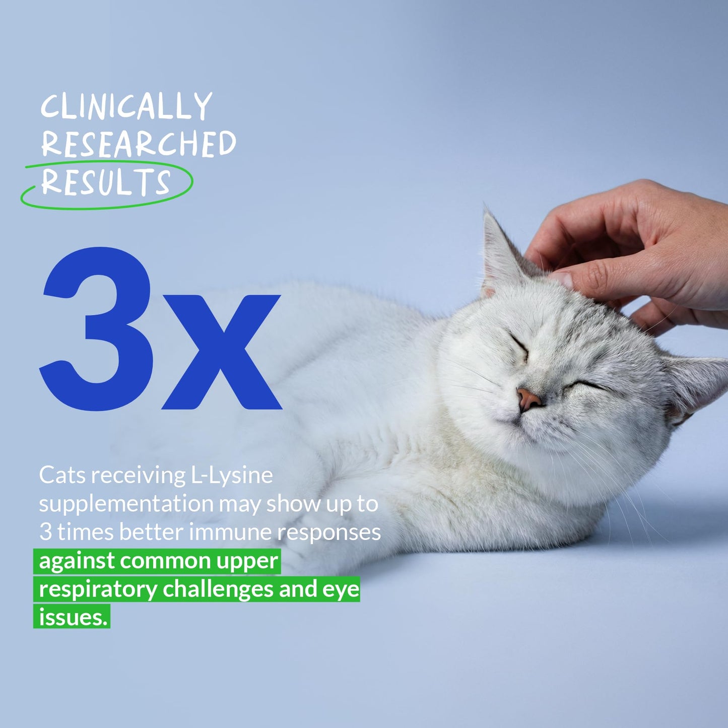 Scoop of salmon flavored L-Lysine powder for cats