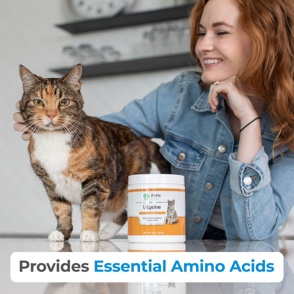 Orange tabby cat next to container of Alpha Paw lysine powder