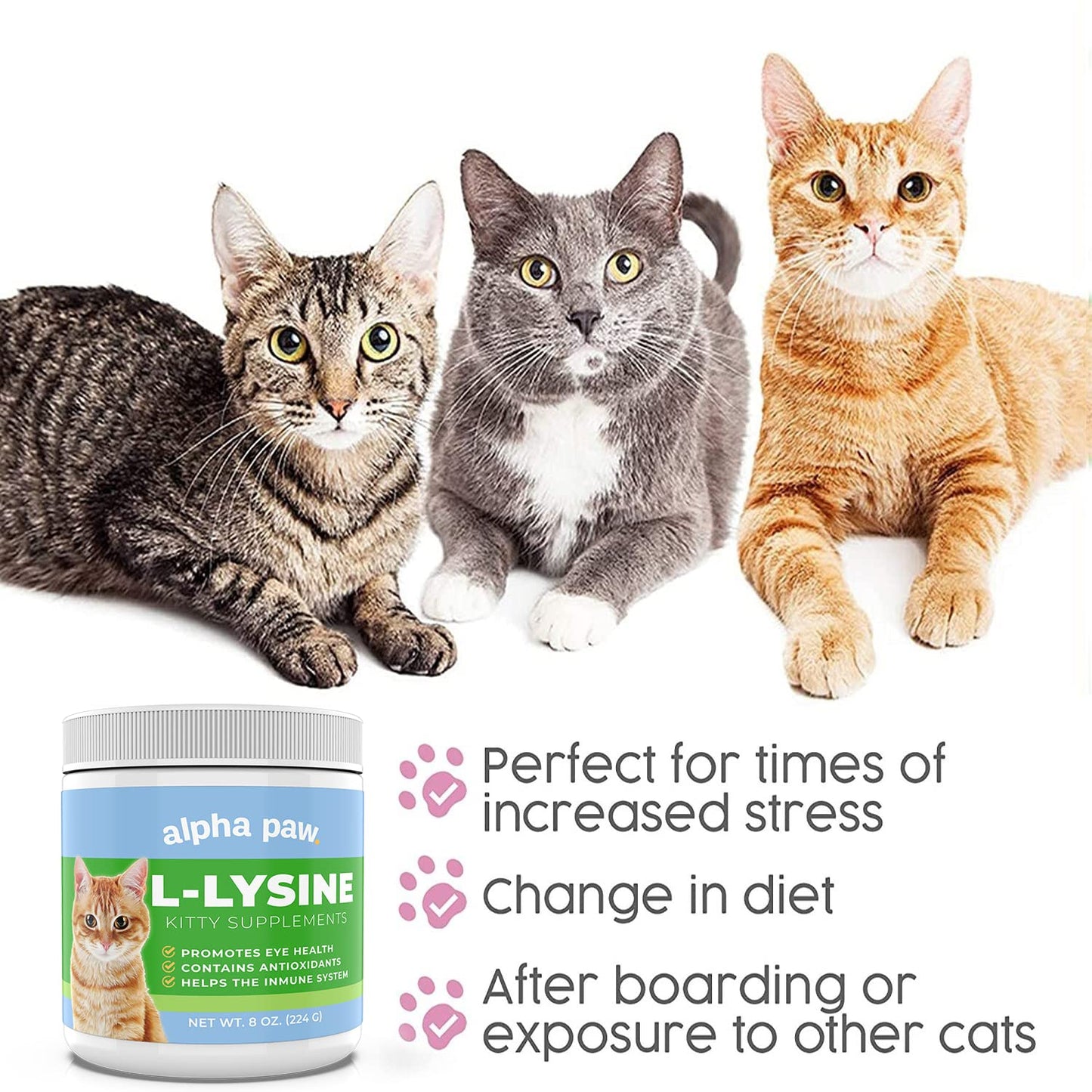 Alpha Paw cat immune support supplement 8 ounces jar