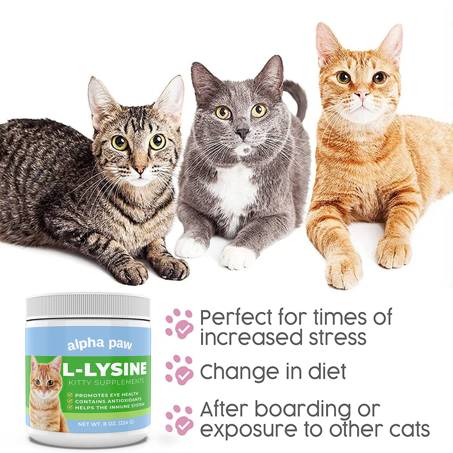 Alpha Paw cat immune support supplement 8 ounces jar