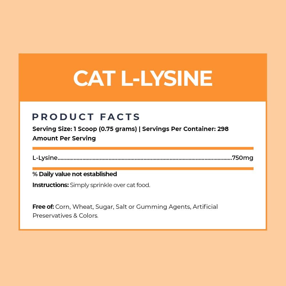 Cat eating food mixed with Alpha Paw Lysine powder