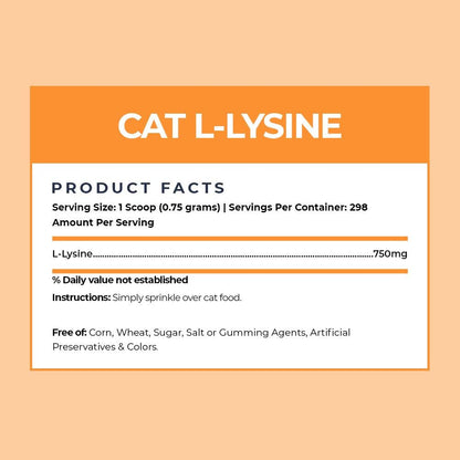 Cat eating food mixed with Alpha Paw Lysine powder