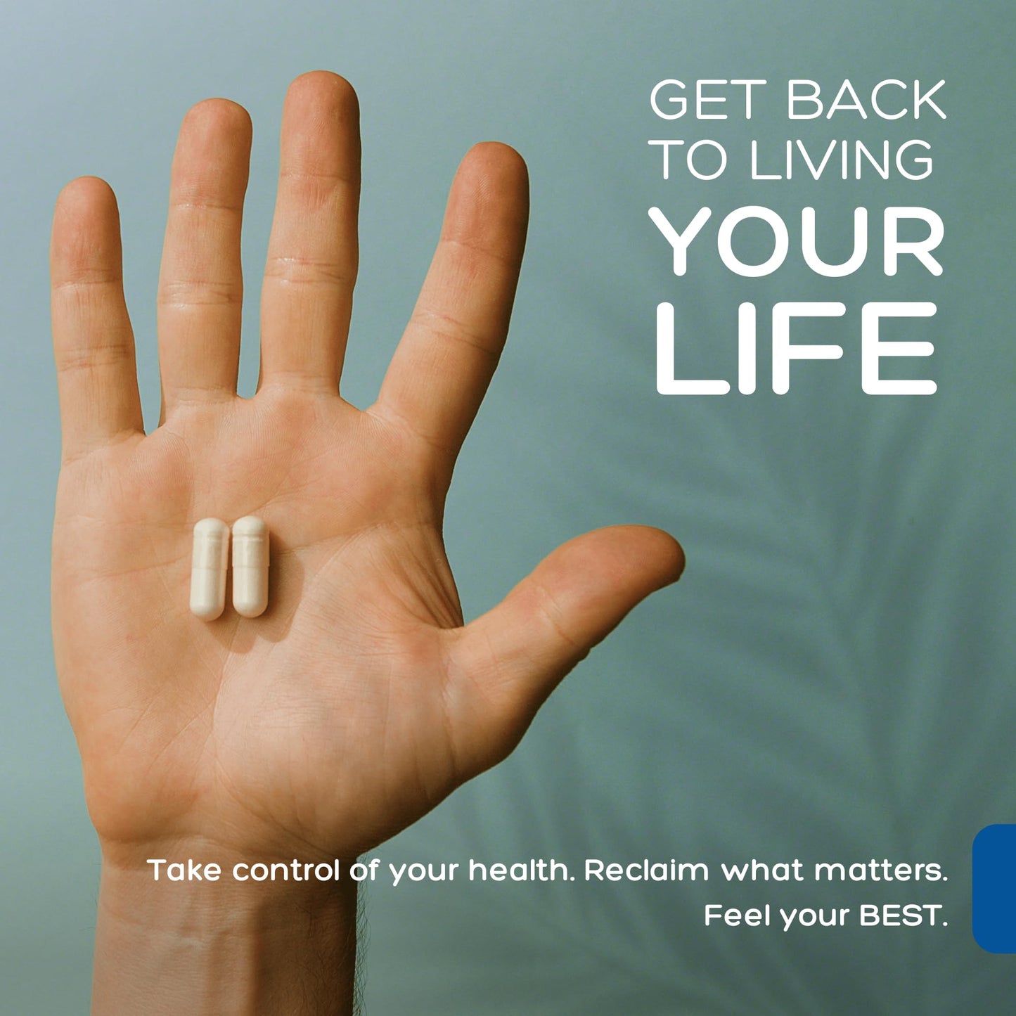 Close up of Palmara Health vegan capsules bottle