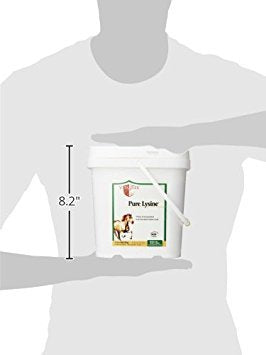 Vita Flex Pure Lysine equine amino acid supplement powder