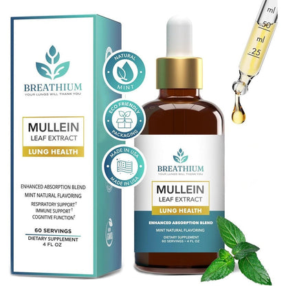 Breathium 4 in 1 Liposomal Mullein Drops 4 Ounce front bottle view showing respiratory support benefits.