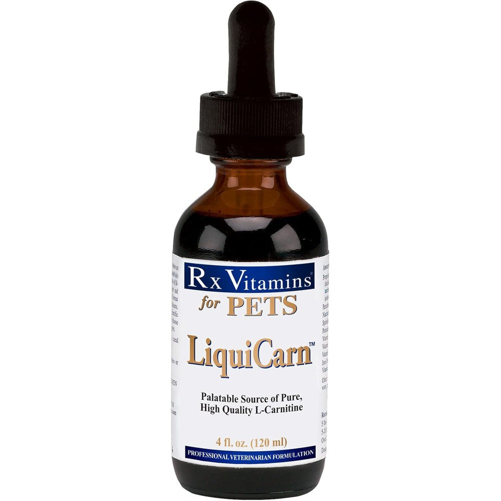 Rx Vitamins LiquiCarn front view of the liquid supplement bottle