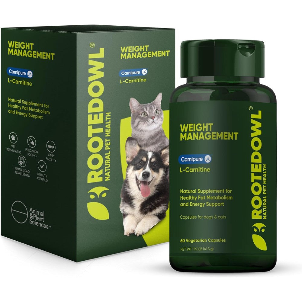 Rooted Owl Metabolism Support L-Carnitine Supplement front view bottle packaging