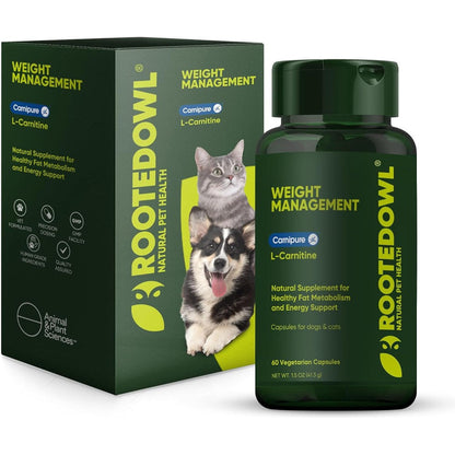 Rooted Owl Metabolism Support L-Carnitine supplement bottle front view