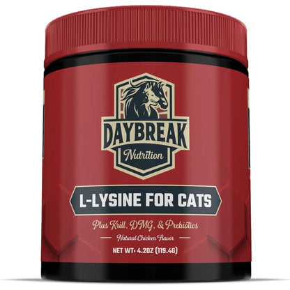 Daybreak Nutrition L-Lysine Powder for cats front view
