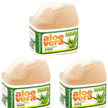 Fruit of the Earth Aloe Vera Juice 128 fluid ounce front view
