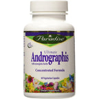 Paradise Herbs Ultimate Andrographis 60 Vegetarian Capsules front view bottle for natural immune support