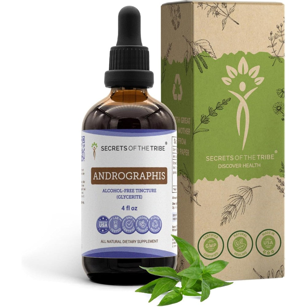 Secrets of the Tribe Andrographis liquid extract front view for immune support