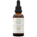 HerbEra Andrographis B60 Alcohol Free Liquid Extract 2 Fluid Ounces front view bottle for immune support