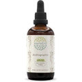 HerbEra Andrographis B120 Herbal Extract Tincture front view for immune support.