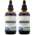 Secrets of the Tribe Andrographis alcohol free liquid extract front view bottle for natural immune wellness support.