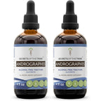 Secrets of the Tribe Andrographis alcohol free liquid extract front view bottle for natural immune wellness support.