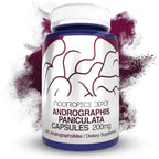 Nootropics Depot Andrographis Paniculata 60 Capsules front view bottle for premium immune defense