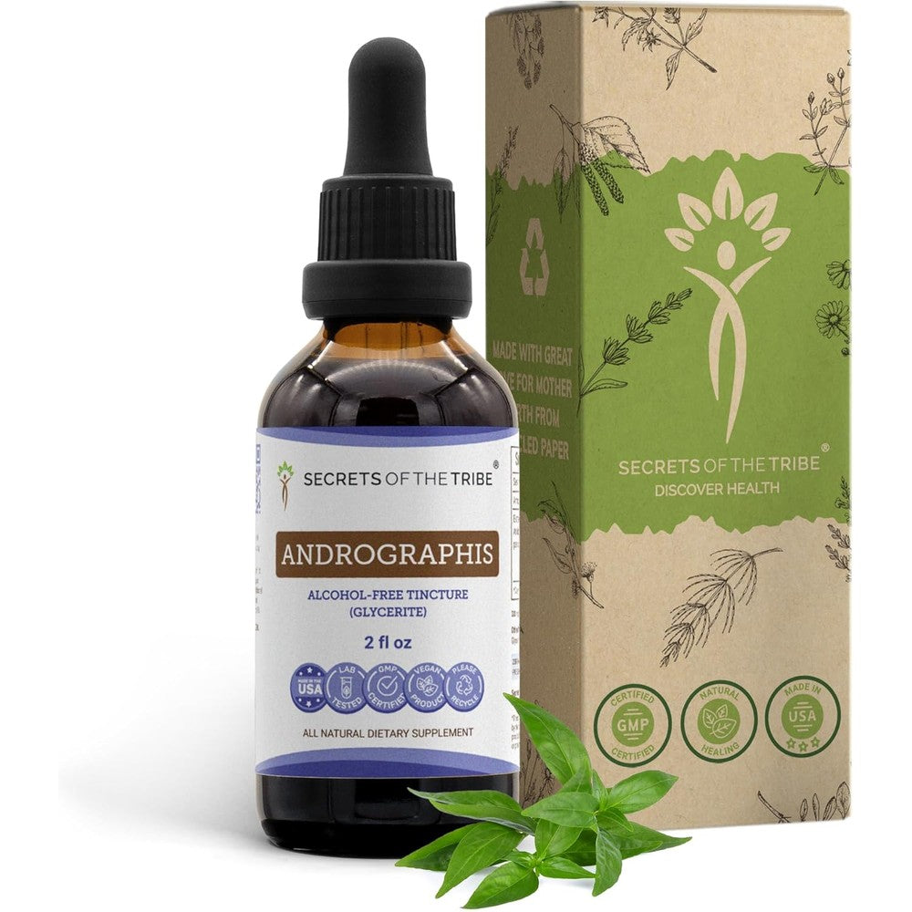 Secrets of the Tribe Andrographis Tincture front view bottle for immune wellness.