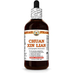 Hawaii Pharm Chuan Xin Lian Andrographis Paniculata 4oz liquid extract front view for immune defense