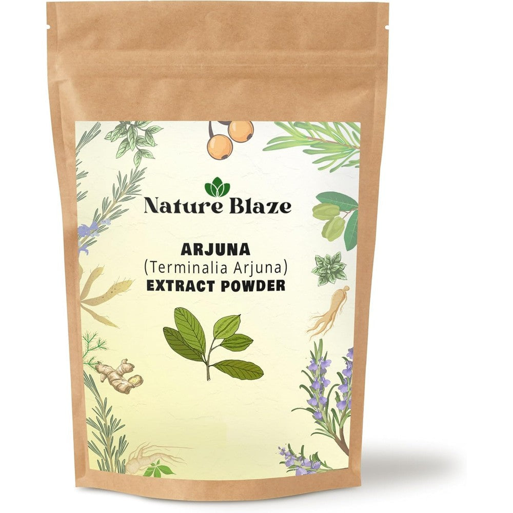 Organic Herbs Nature Blaze Terminalia Arjuna Extract Powder front packaging view for heart support.