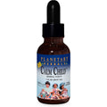 Planetary Herbals Calm Child Herbal Syrup front view authentic USA imported supplement